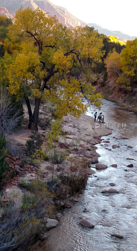 在犹他州的锡安国家公园里沿着维珍河的徒步旅行者