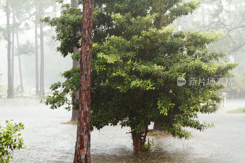 暴雨淹没了院子和道路