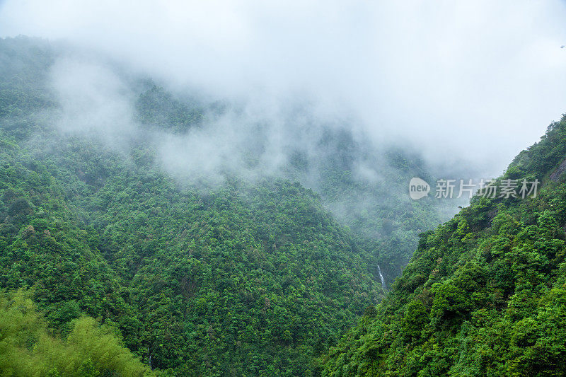 中国森林茂密，多雨多雾的雨季。