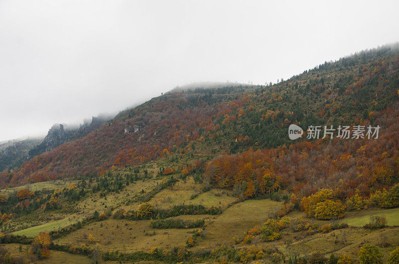 塞文山的雾