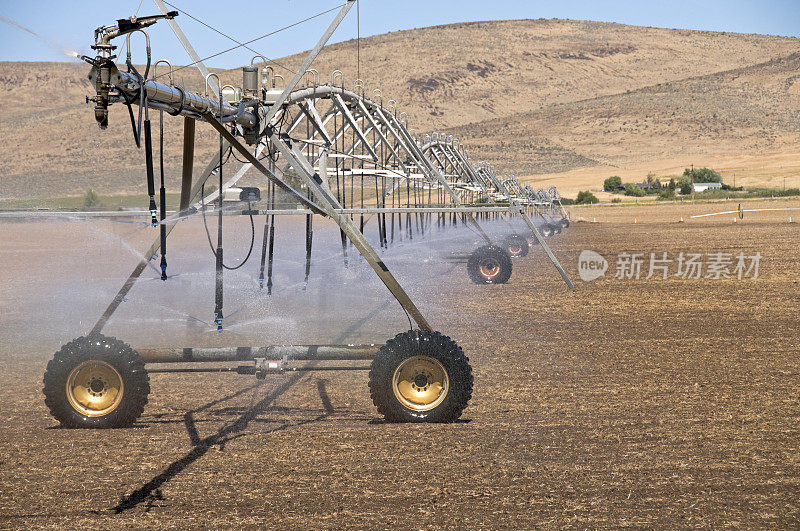 灌溉苜蓿田的农业设备