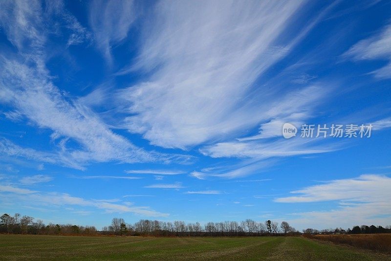 在休耕地上的卷云景观