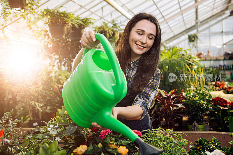 园丁在给温室里的植物浇水