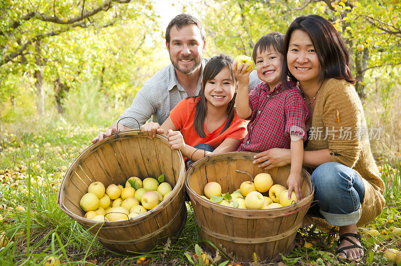 混合种族家庭肖像苹果