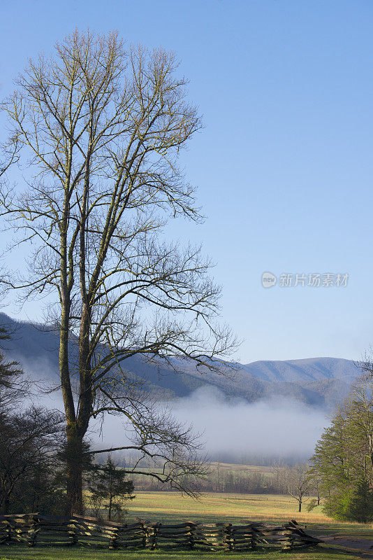 烟雾缭绕的群山中有雾的早晨