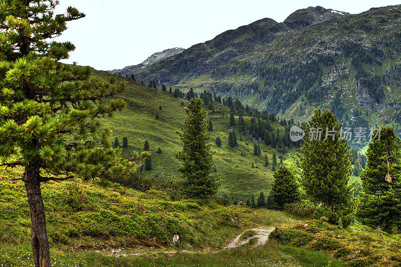 齐勒塔尔阿尔卑斯景观HDR(奥地利)