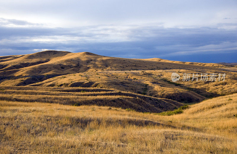 黎明时分蒙大拿州起伏的丘陵和草原