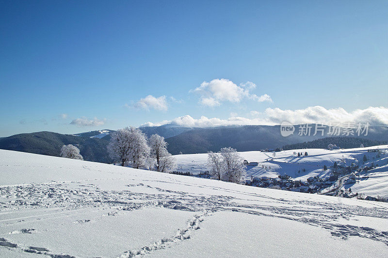黑森林冬天的雪景