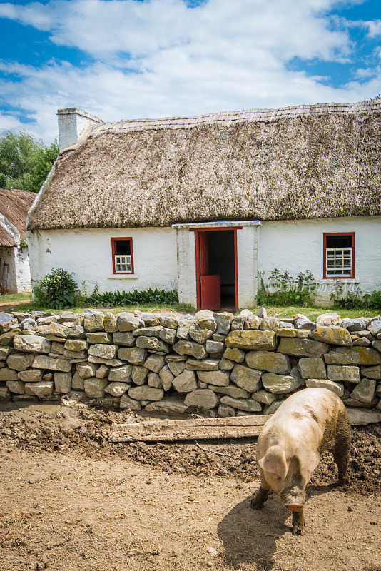 爱尔兰的乡村生活