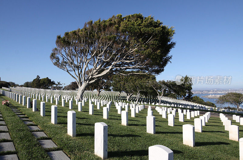 军人公墓中一排排的白色墓碑
