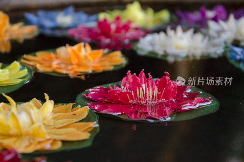 西藏水上人工莲花