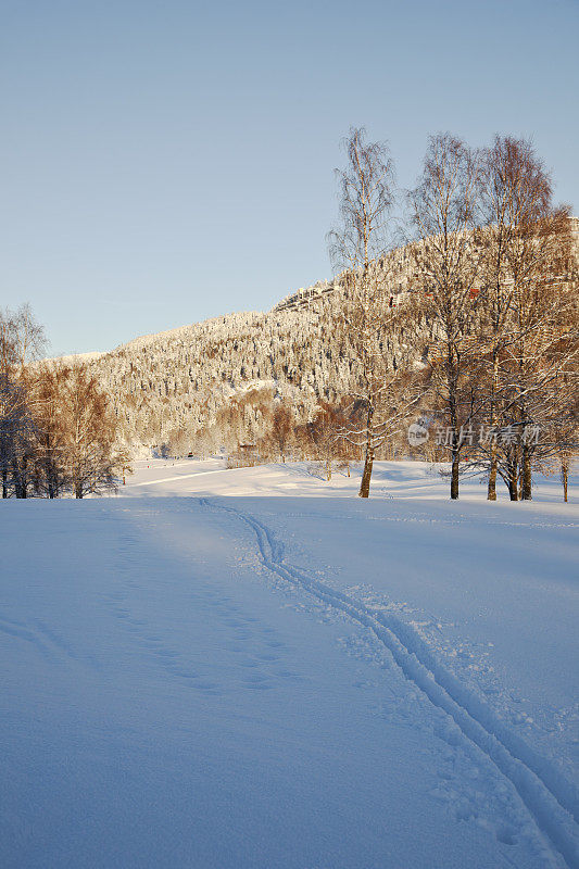 挪威风景中的滑雪道。