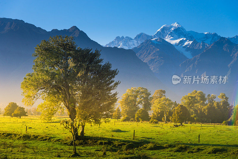 新西兰马锡森湖的库克山