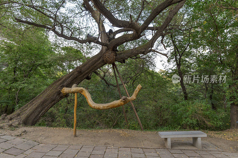 清代涪陵，沈阳，中国