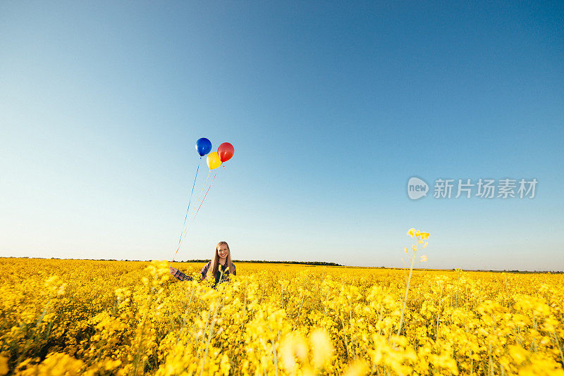 在夏日日落的油菜地里找到我