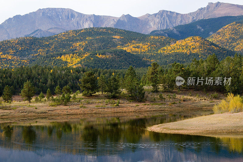 秋天的白杨在水晶溪水库派克峰