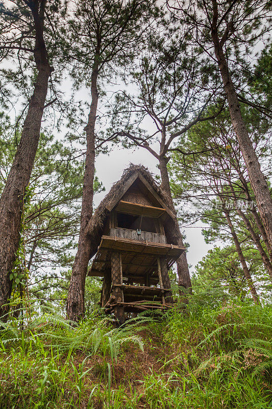 菲律宾北吕宋岛碧瑶森林木屋生态旅馆
