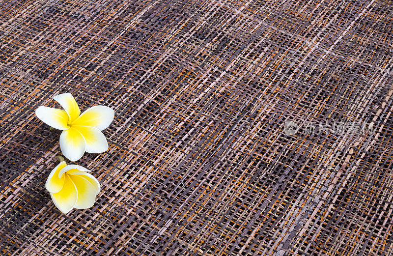 鲜花的白色鸡蛋花(鸡蛋花)在彩色纹理稻草背景适合产品蒙太奇与文字空间。