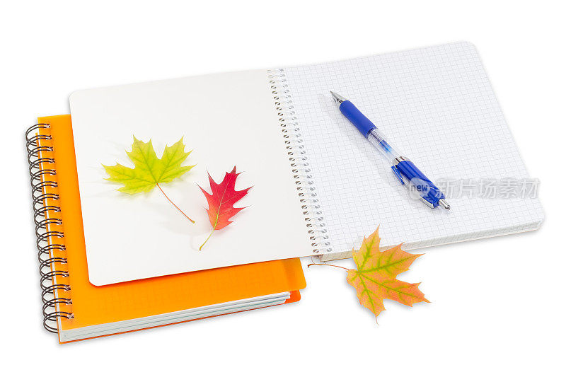 两本笔记本，一支钢笔和几片秋叶