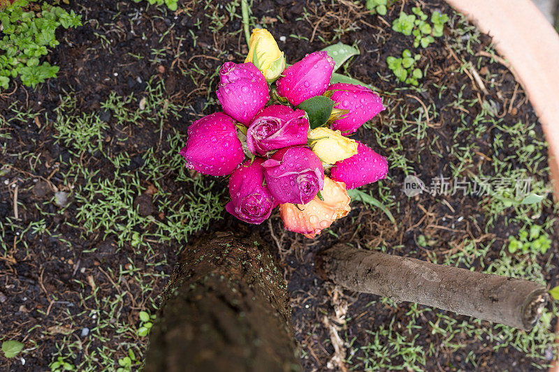 4月的一个雨天，德国南部一家咖啡馆的市花