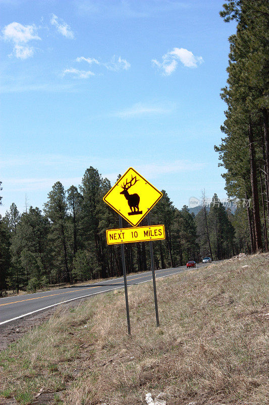 鹿路警告标志。接下来的10英里，美国