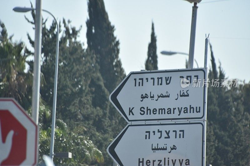 以色列荷兹利亚的路标