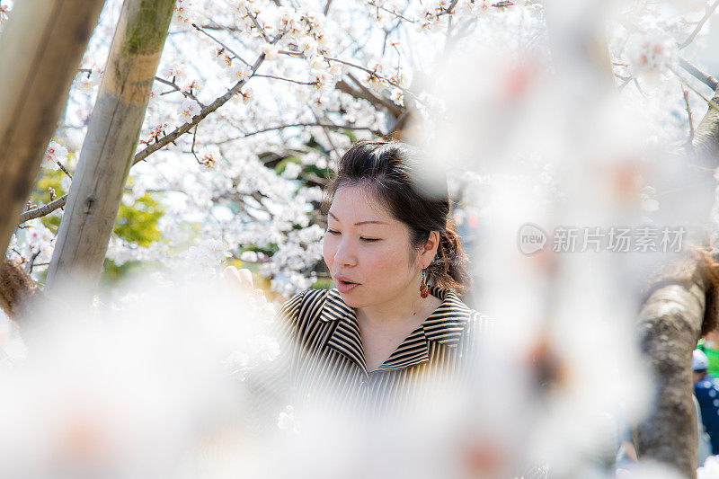 日本女人拍照的花