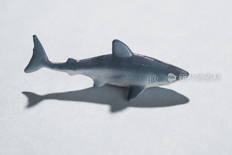 塑料玩具的鲨鱼