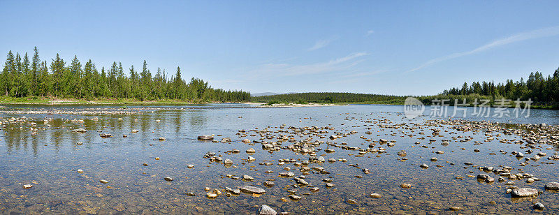 极地乌拉尔地区针叶林河的夏季全景图。