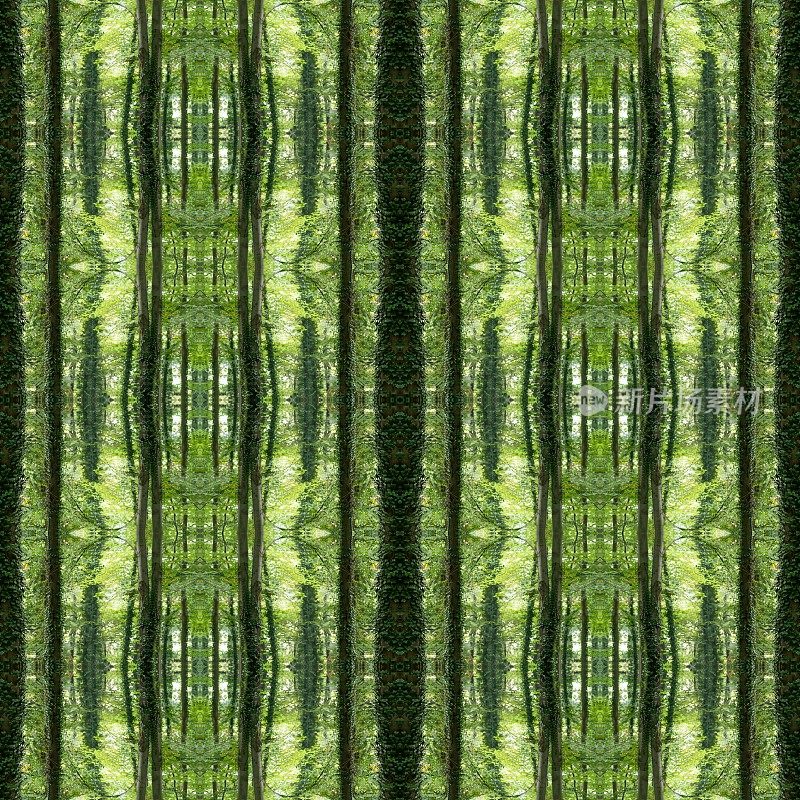 抽象对称镶嵌图案背景:树的自然