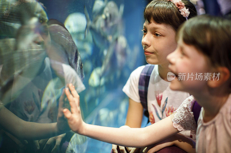 孩子们在一个大水族馆里看鱼