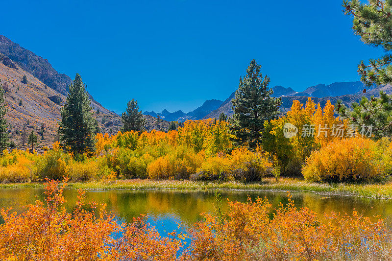 主教溪秋天的小池塘，内华达山脉，加利福尼亚州(P)
