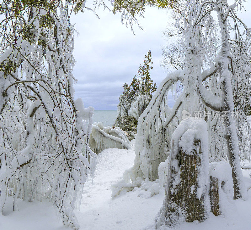 暴风雪过后，湖面上的风景、树木和树枝都被冰雪覆盖。