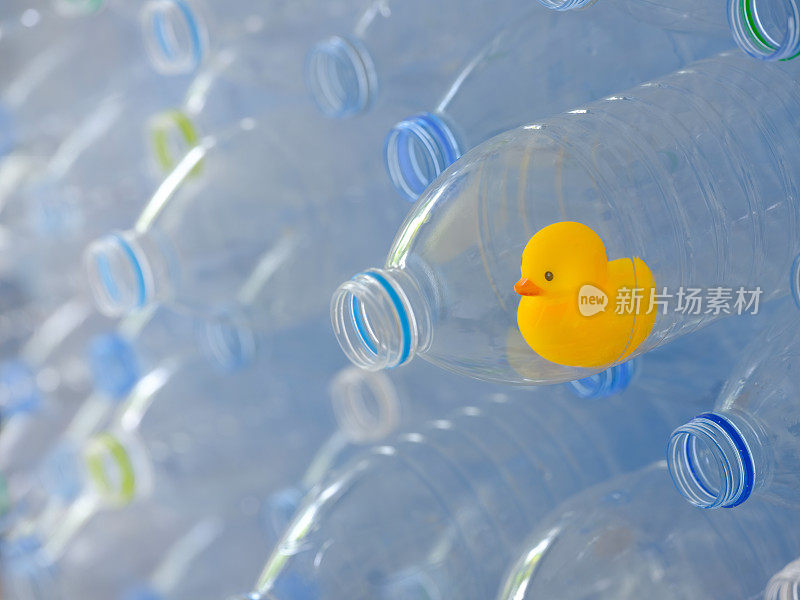 在蓝色背景下，一只黄色的橡皮鸭被困在一个空的塑料饮料瓶中，这是一堆用于循环利用的净化塑料饮料瓶。