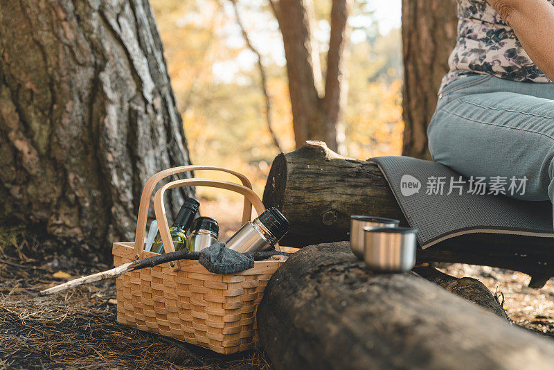 两个老年妇女在野餐