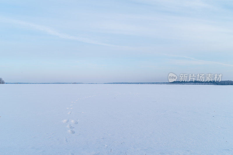 冬天的风景