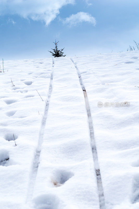 雪地上的雪橇印记