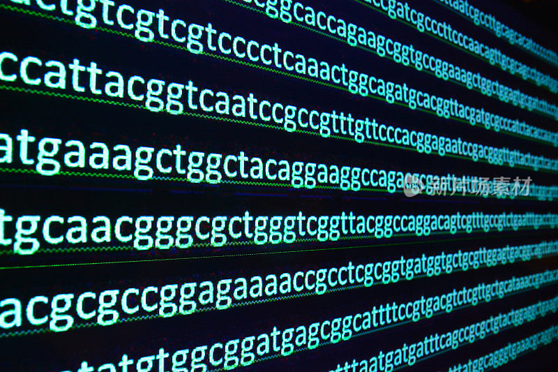 在实验室对基因组进行测序。