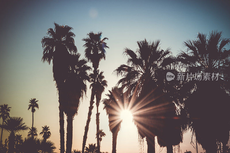 棕榈泉戏剧性的日落天空景观