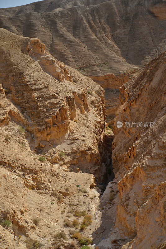 犹太沙漠