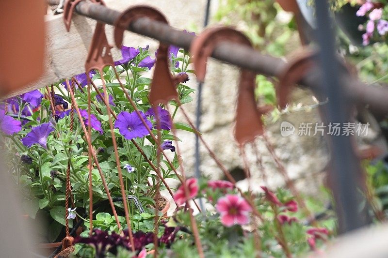 花盆排成一排