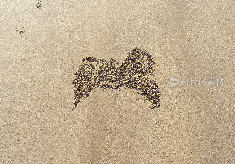 这是一只螃蟹在沙地上留下的痕迹