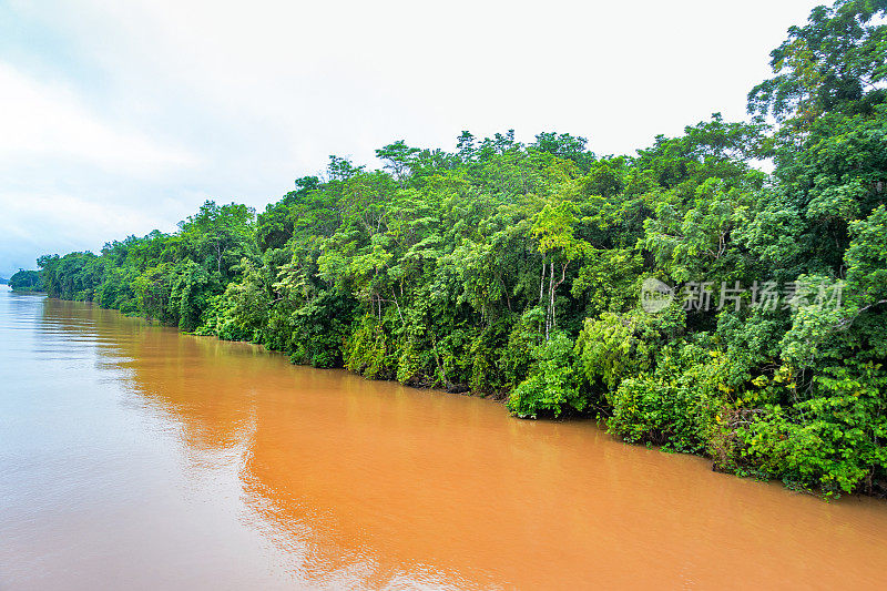 亚马逊河和巴西的雨林