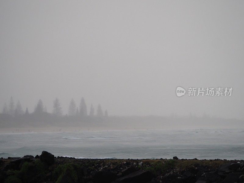 下雨天从布伦瑞克头石墙看新布赖顿的松树