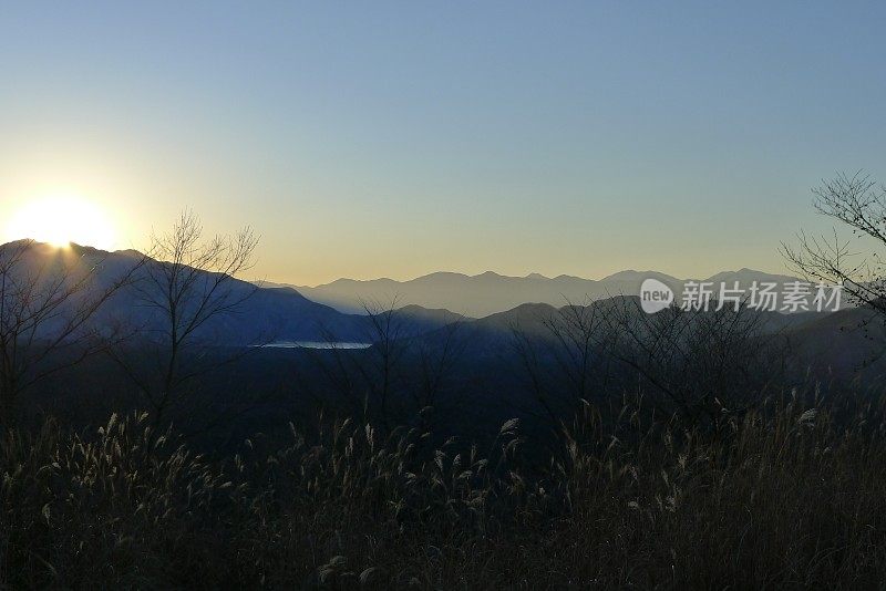 青木原来自日本山大(富士箱根伊豆国家公园)