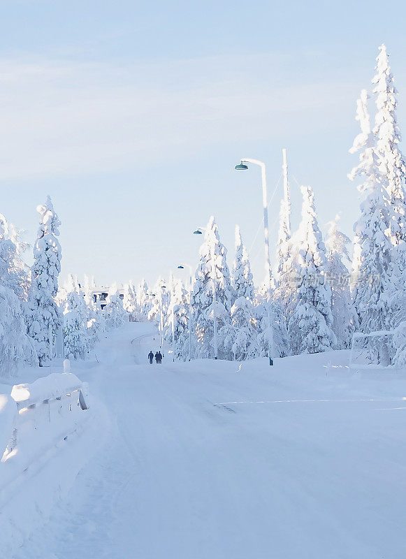 拉普兰被雪覆盖的乡村道路。白雪覆盖的树木和一群人的背景。