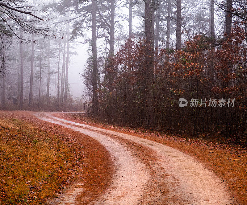 雾中的土路