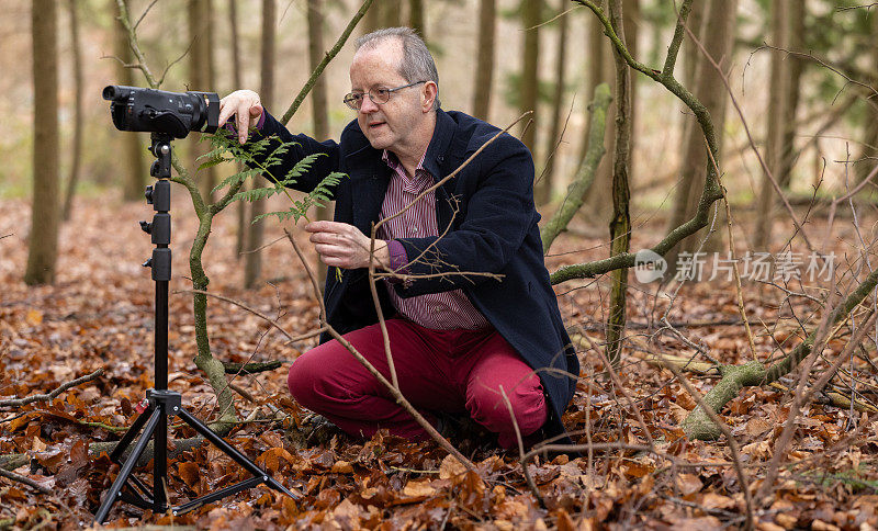 中年男子在森林中拍摄关于自然、蕨类和环境保护的视频