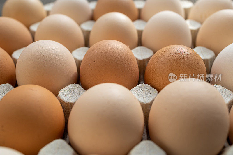 鸡蛋盘里放满了一排排白色、斑点和棕色的鸡蛋