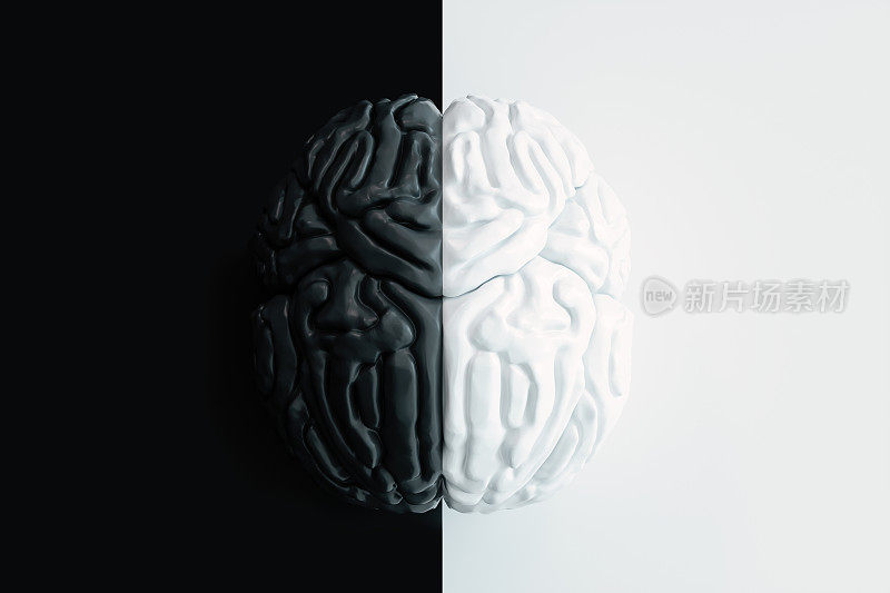 在黑白背景上的黑白大脑模型俯视图。